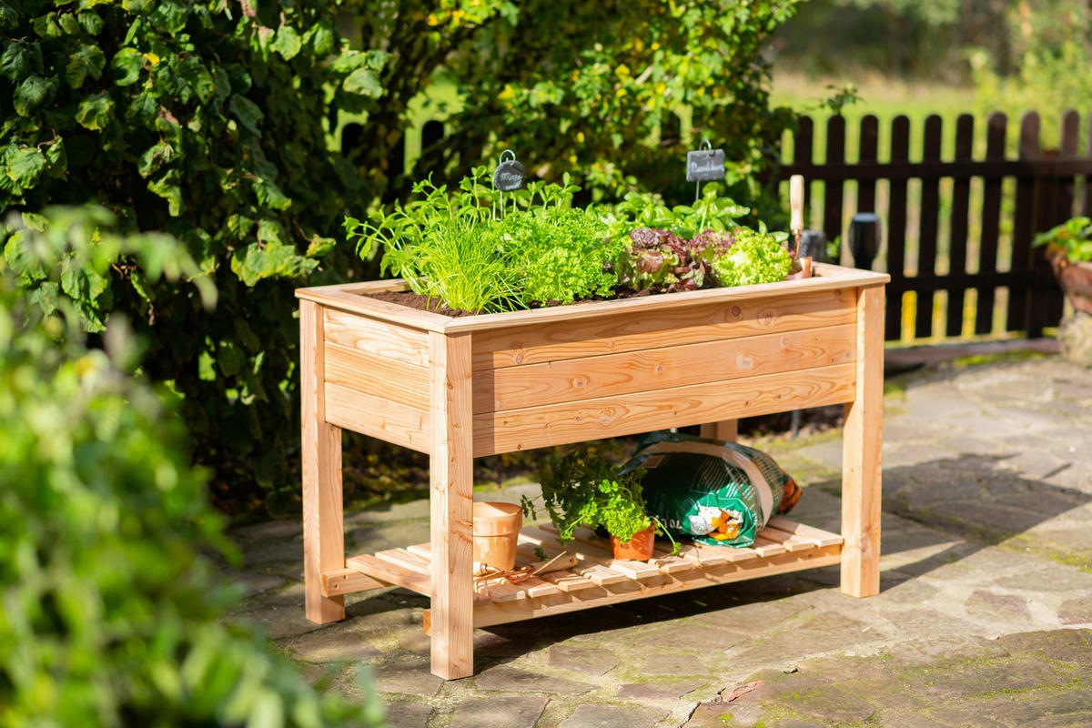 HOCHBEET  - Lärchefarben, KONVENTIONELL, Holz (120/65/75cm) - Ambia Garden