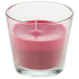 KERZE IM GLAS - Bordeaux/Rot, Basics, Glas/Naturmaterialien (9/8,2cm) - Ambia Home
