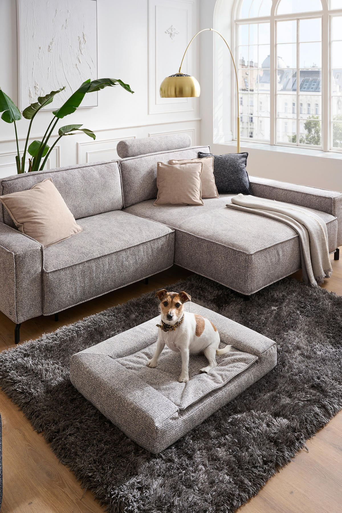 HUNDEBETT - Hellgrau, KONVENTIONELL, Textil (80/15/60cm) - Sedda