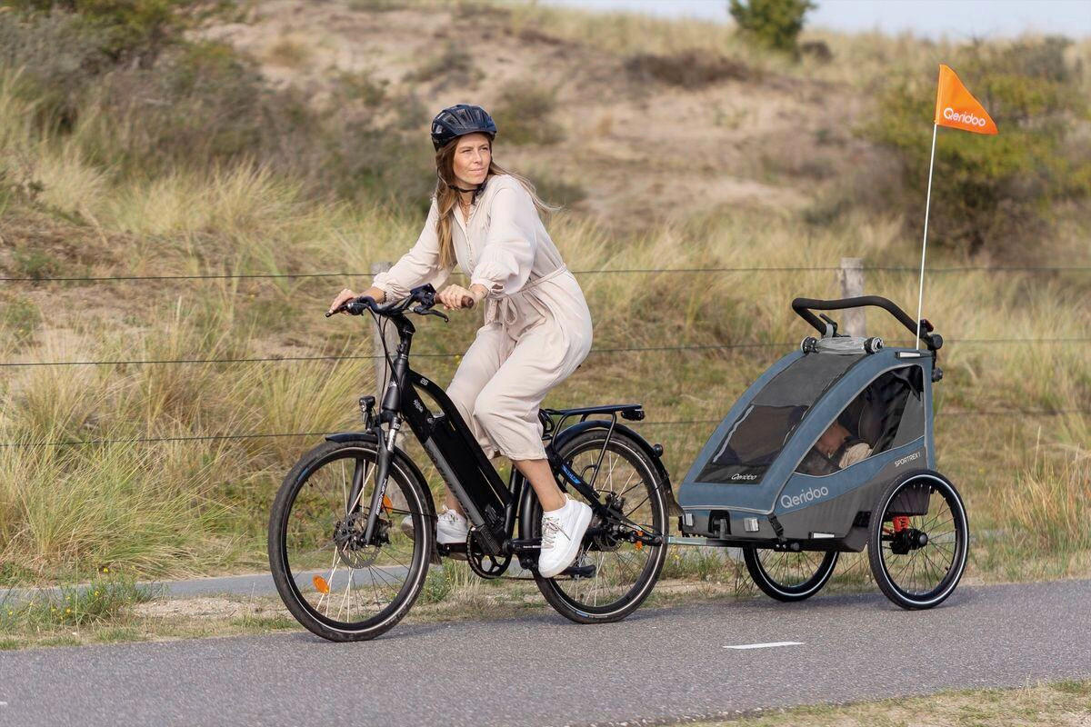 FAHRRADANHÄNGER   Sportrex 1  - Graublau/Dunkelblau, Basics, Kunststoff/Metall (112/67/106cm)