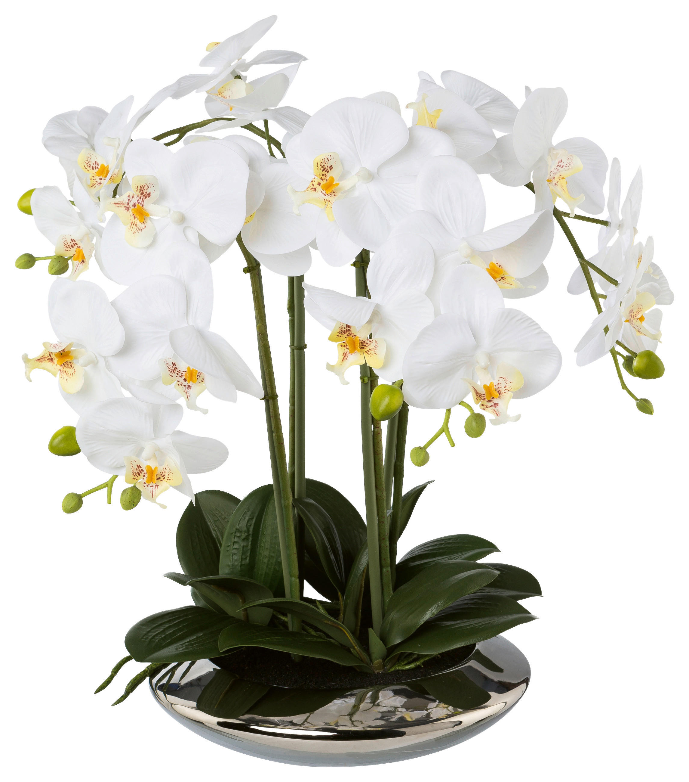 KUNSTPFLANZE Orchidee 41 cm  - Silberfarben/Weiß, Design, Keramik/Kunststoff (41cm) - P & B