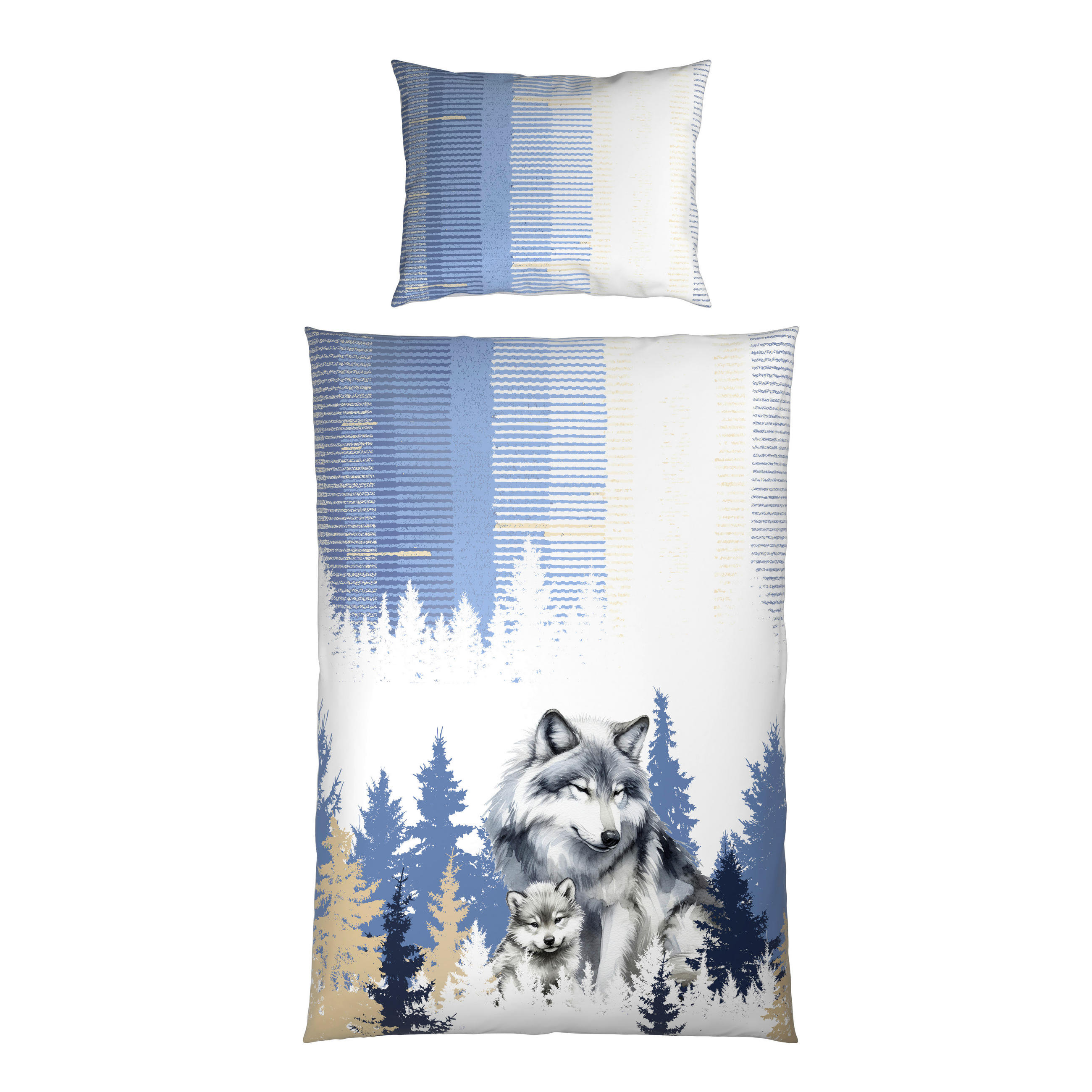 BETTWÄSCHESET Satin 160/210 cm  65 cm/100 cm  - Multicolor, Textil (160/210cm) - Esposa