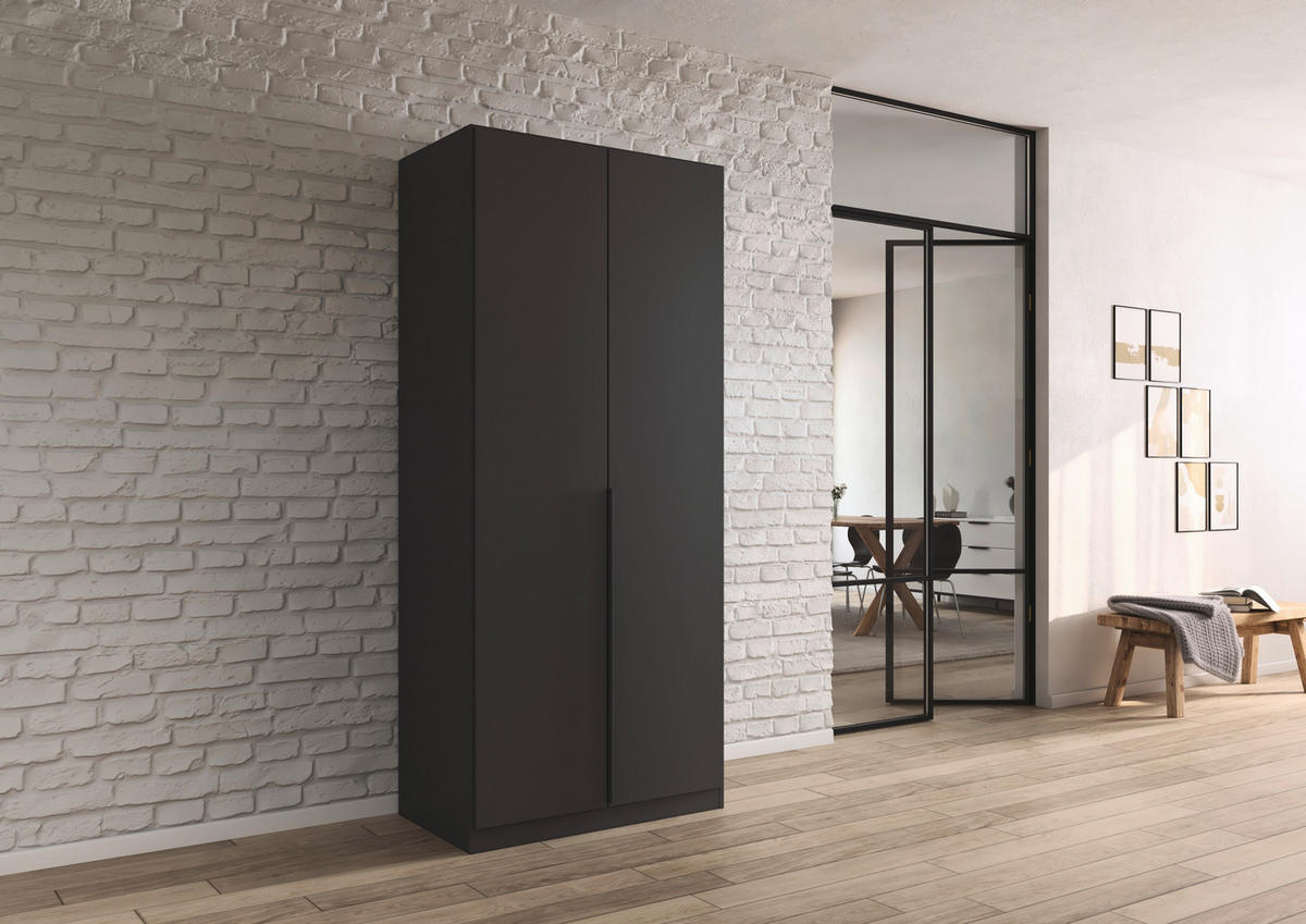 DREHTÜRENSCHRANK 91/229/54 cm,  in Grau, 2-türig  - Grau, MODERN, Holzwerkstoff/Metall (91/229/54cm) - Rauch Möbel