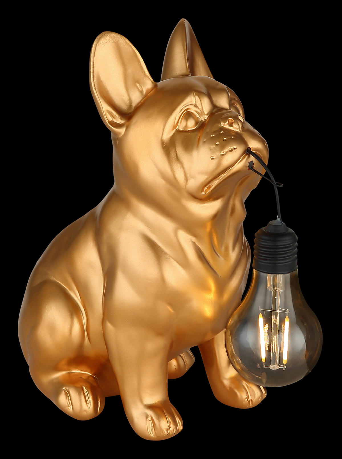 SOLARLEUCHTE Greenday 23/11,8/23,5 cm  - Goldfarben, Design, Kunststoff (23/11,8/23,5cm) - Globo