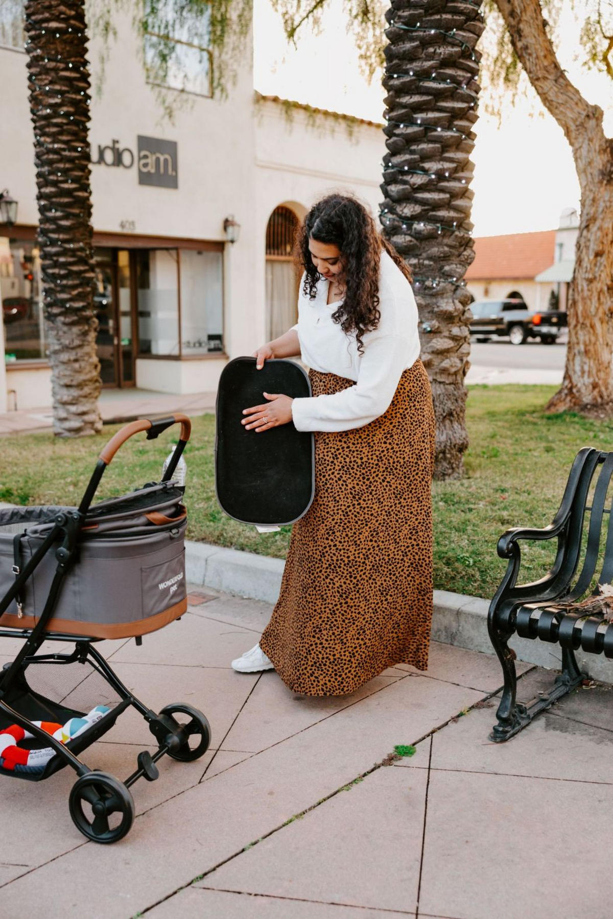 HUNDEBUGGY P2 Pet Stroller  - Schwarz/Grau, Basics, Textil/Metall (68/44/100cm) - WONDERFOLD