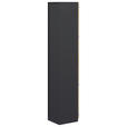AKTENSCHRANK Anthrazit, Hickory  - Anthrazit/Hickory, KONVENTIONELL, Holzwerkstoff (40/220,5/41,9cm) - Moderano