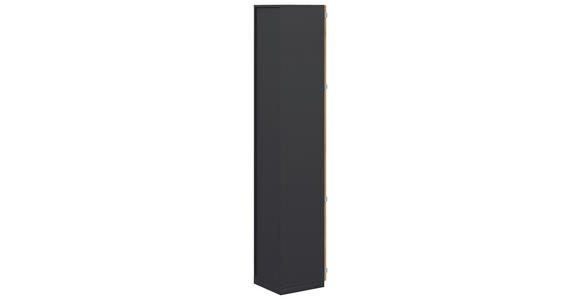 AKTENSCHRANK Anthrazit, Hickory - Anthrazit/Hickory, KONVENTIONELL, Holzwerkstoff (40/220,5/41,9cm) - Moderano