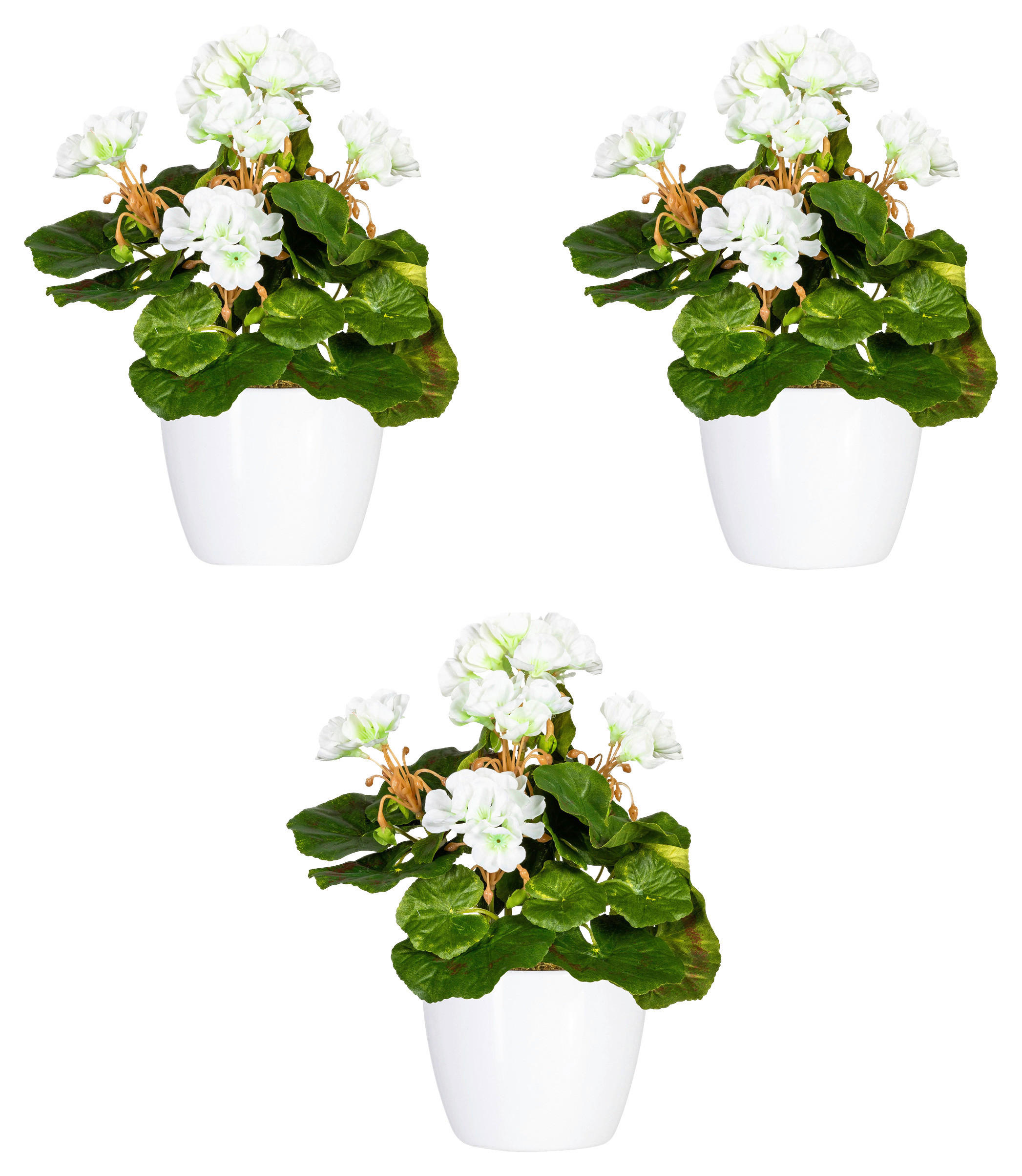 KUNSTPFLANZE Geranie 24 cm - Weiß/Grün, Design, Keramik/Kunststoff (24cm) - P & B