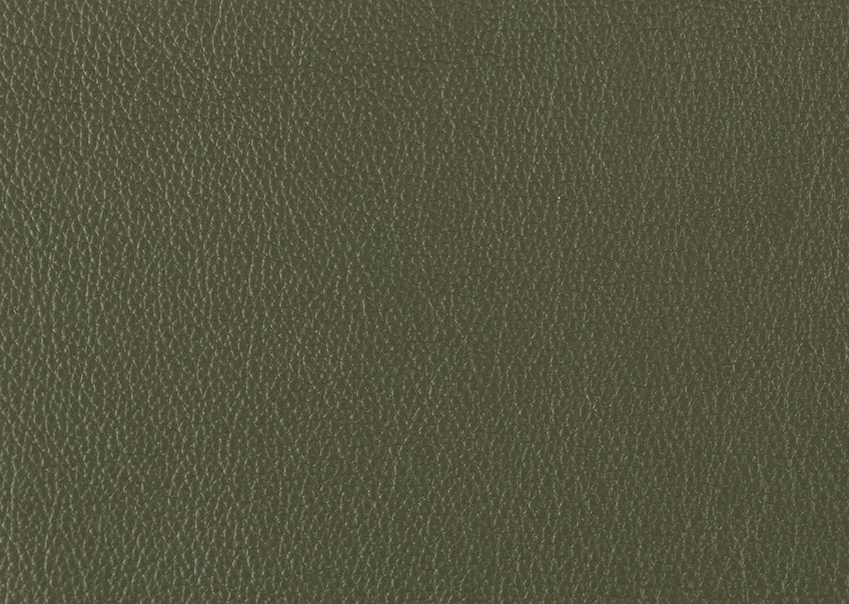 SESSEL in Echtleder Olivgrün  - Schwarz/Olivgrün, MODERN, Leder/Metall (74/105/92cm) - Johann Jakob