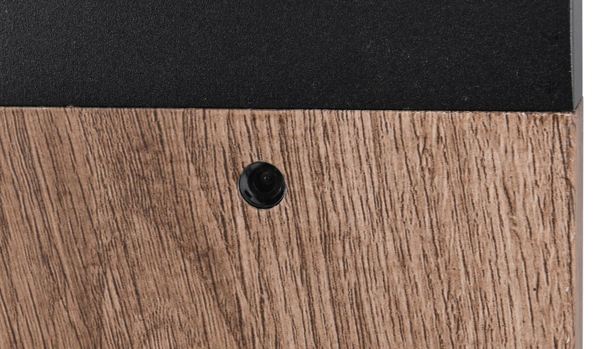 AUSSENLEUCHTE - Klar/Schwarz, Design, Glas/Metall (65/16/16cm) - Trio Leuchten