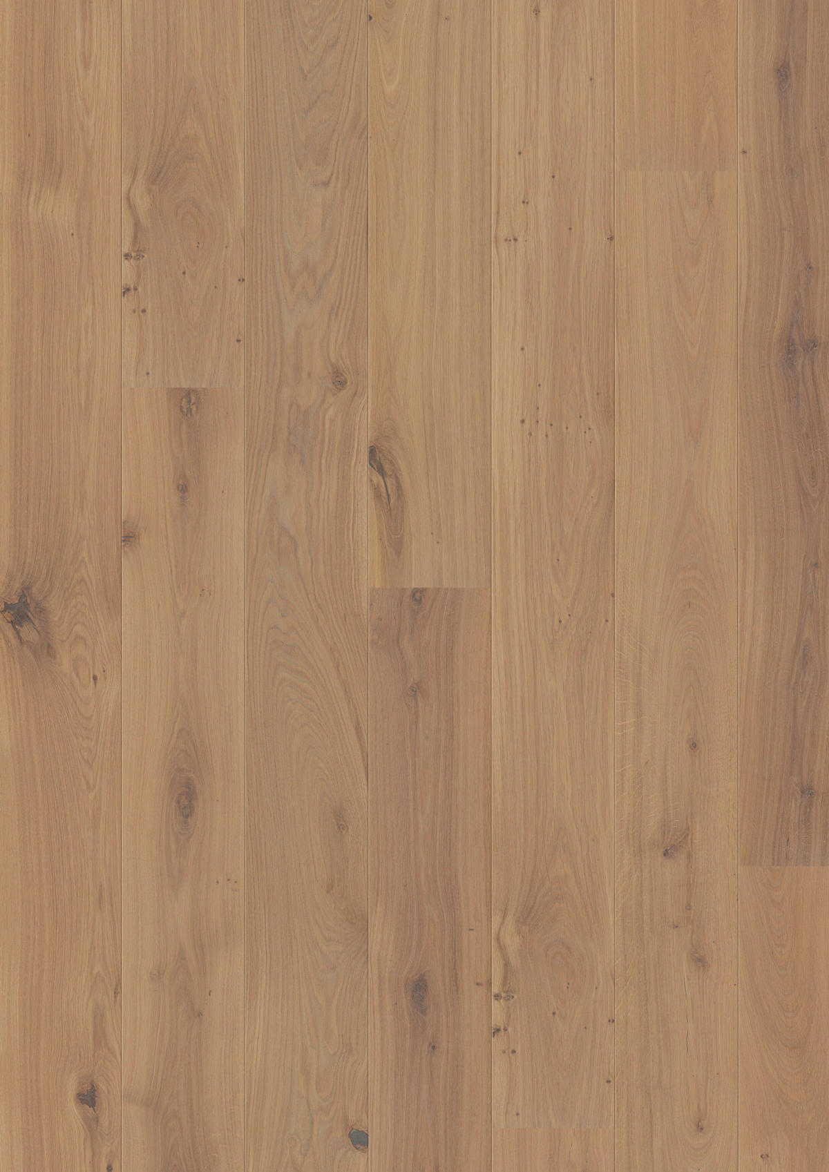 LANDHAUSDIELE Marcanto Trend Eiche Champagne 100012101  per  m² - Design, Holz (220,5/17,6/1,3cm) - Tilo