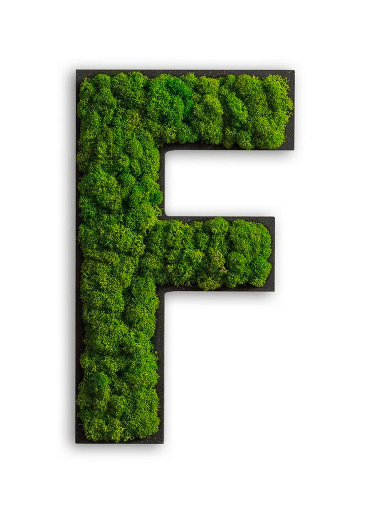 MOOSBILD Stylegreen  - Schwarz/Grün, Basics, Naturmaterialien/Holz (25/14/4cm)