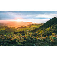 NON WOVEN-TAPET 400/250 cm  - Natur (400/250cm)