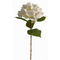 HORTENZIA - fehér, Basics (60cm)