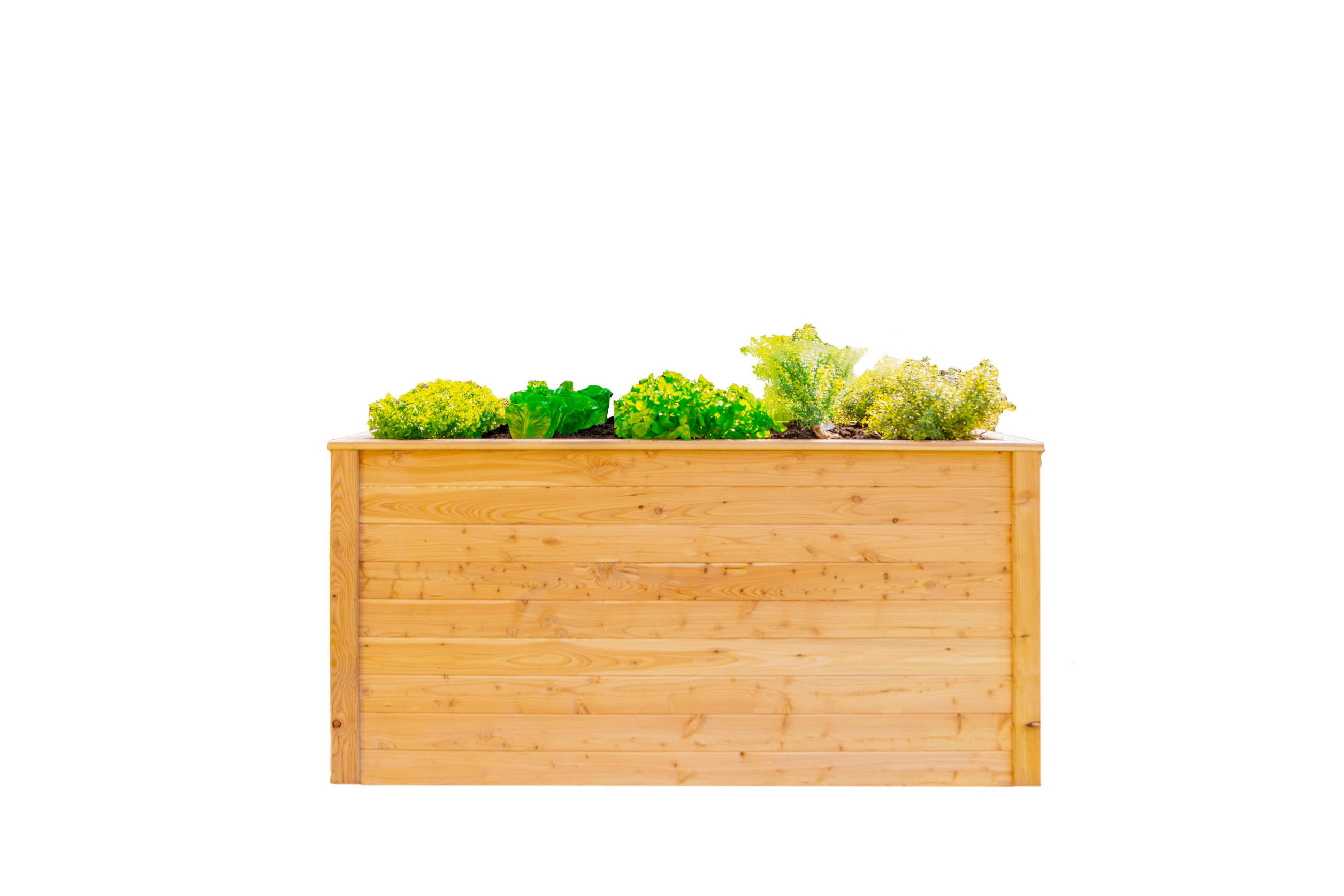 HOCHBEET  - Lärchefarben, Basics, Holz (90/84/170cm) - Ambia Garden