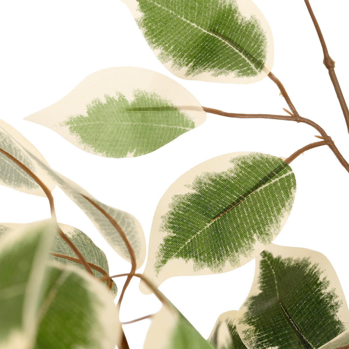 KUNSTPFLANZE Ficus Benjamina 100 cm  - Schwarz/Braun, Basics, Kunststoff (100cm)