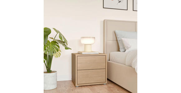 NACHTSCHRANK 50/48/42 cm  - Eichefarben/Silberfarben, Trend, Holzwerkstoff/Kunststoff (50/48/42cm) - Carryhome