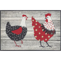DVEŘNÍ ROHOŽKA, 40/60 cm - vícebarevná, Romantický / Rustikální, textil/plast (40/60cm) - wash+dry