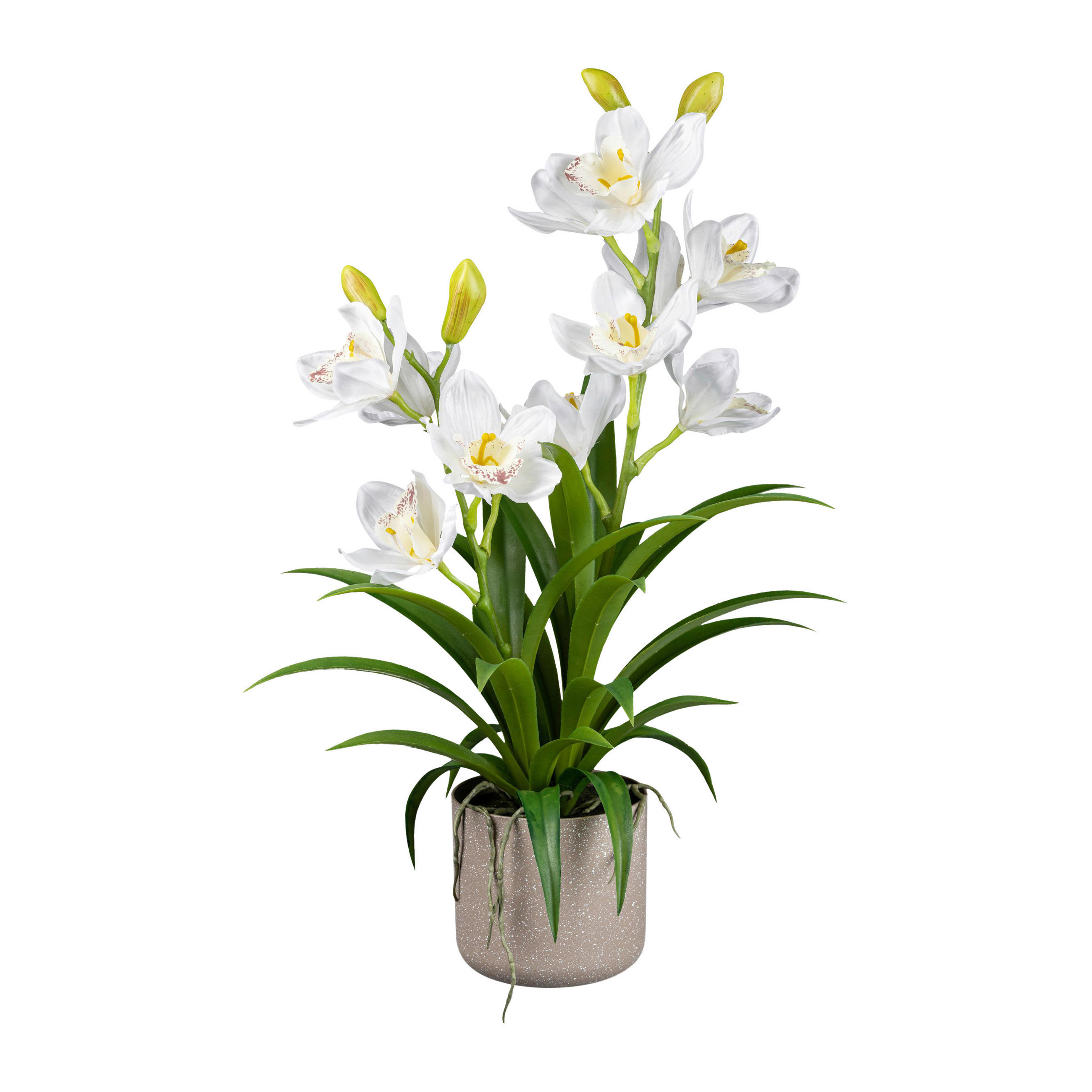 KUNSTPFLANZE Orchidee 58 cm  - Weiß/Grau, Design, Kunststoff (58cm) - P & B