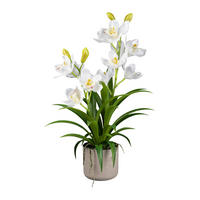 KUNSTPFLANZE Orchidee 58 cm  - Weiß/Grau, Design, Kunststoff (58cm) - P & B
