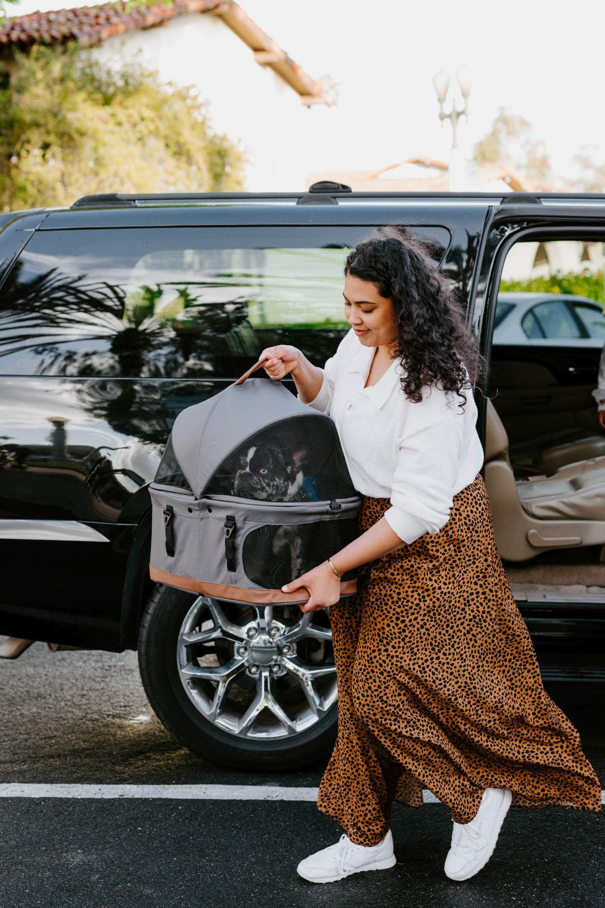 HUNDEBUGGY P2 Pet Stroller  - Schwarz/Grau, Basics, Textil/Metall (68/44/100cm) - WONDERFOLD