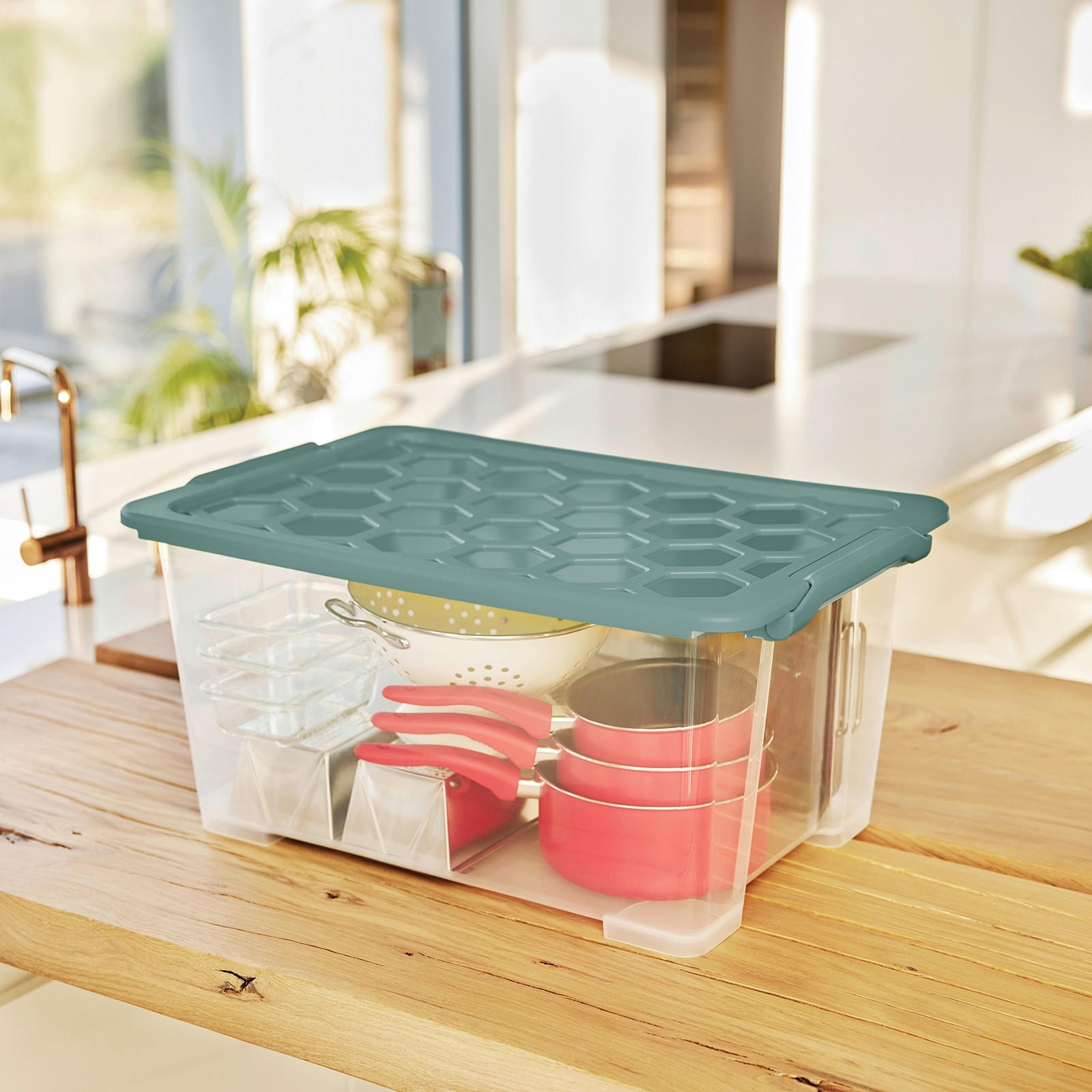 BOX MIT DECKEL EVO SAFE - Transparent/Grün, Basics, Kunststoff (59/39,5/28cm) - Rotho