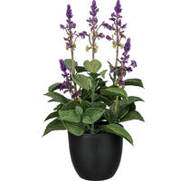 KUNSTPFLANZE 28 cm  - Lila, Basics, Kunststoff (28cm) - Ambia Home