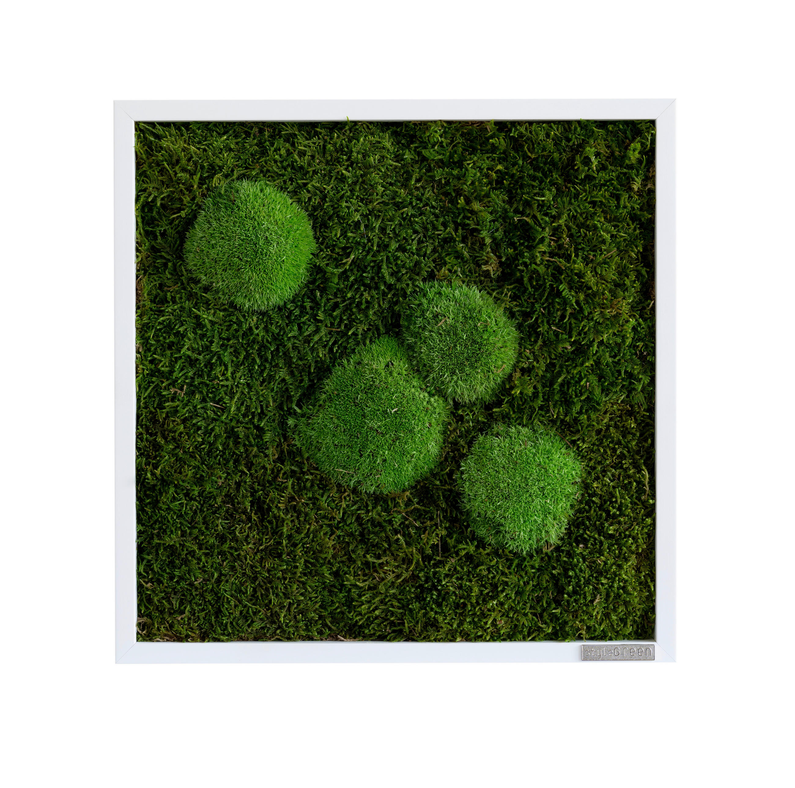 MOOSBILD Stylegreen  - Weiß/Grün, Basics, Naturmaterialien/Holz (35/35/6cm)