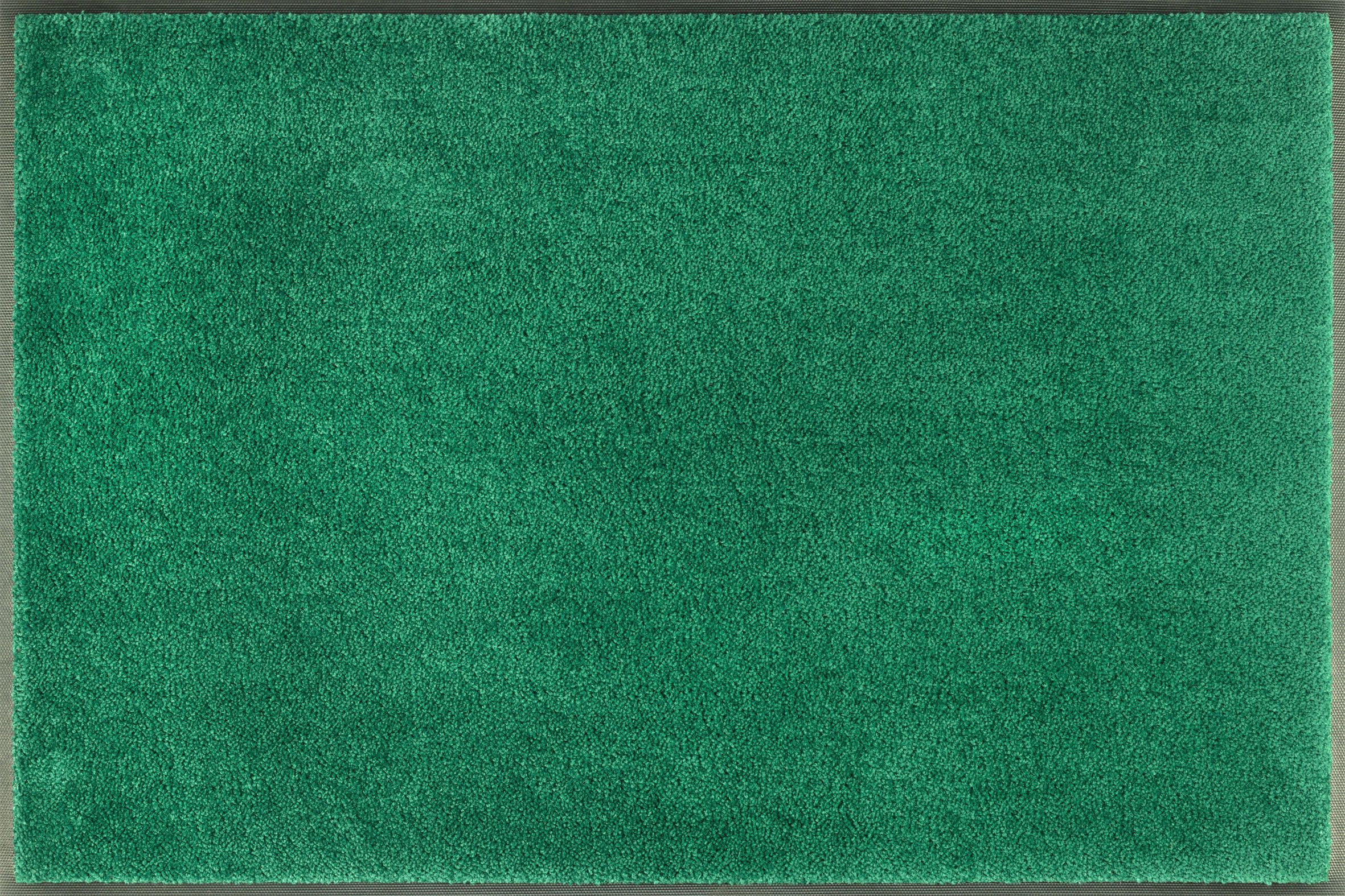 FUSSMATTE  60/90 cm  Grün  Uni  - Grün, KONVENTIONELL, Kunststoff/Textil (60/90cm) - wash+dry