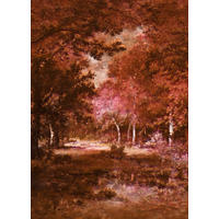 FOTOTAPET 200/280 cm  - Trend (200/280cm) - Komar