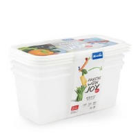 GEFRIERDOSE 1,5 l  - Blau, Basics, Kunststoff (23,3/11,8/13,6cm) - Rotho