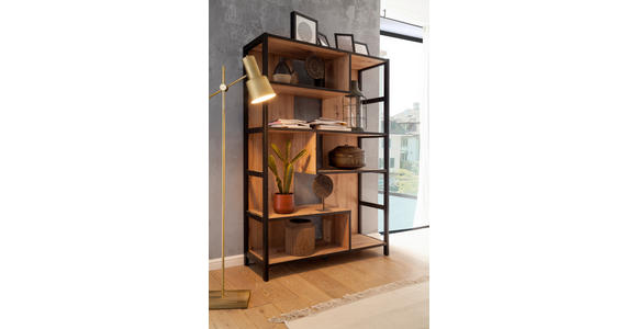 REGAL Anthrazit, Eichefarben - Eichefarben/Anthrazit, Design, Holzwerkstoff (116/175/40cm) - Carryhome
