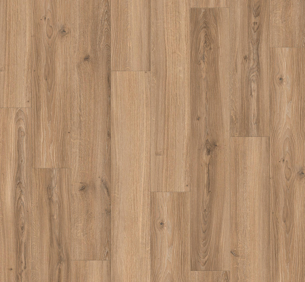 LAMINATBODEN Laminat Basic 400  per  m² - Eichefarben, Basics, Holzwerkstoff (128.5/19.4/0.8cm) - Parador