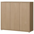 SCHUHSCHRANK 109,2/99,1/34,9 cm  - Eichefarben/Grau, MODERN, Holzwerkstoff/Kunststoff (109,2/99,1/34,9cm) - Carryhome