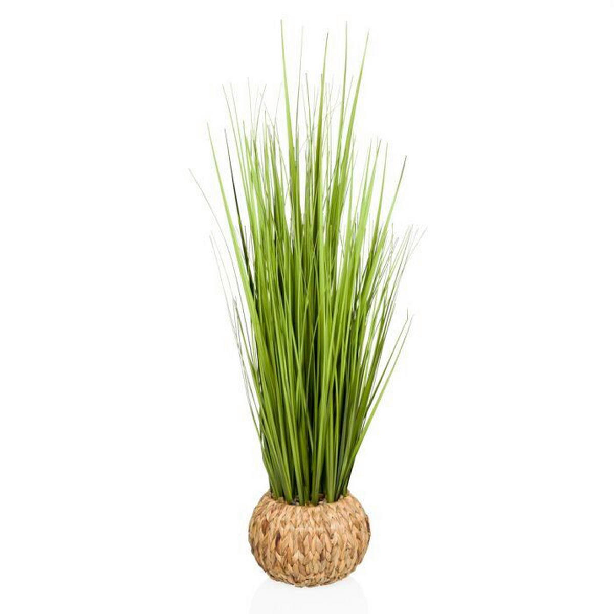 UMĚLÁ ROSTLINA pampová tráva  - zelená/světle hnědá, Moderní, plast/přírodní materiály (30/112/30cm) - MID.YOU