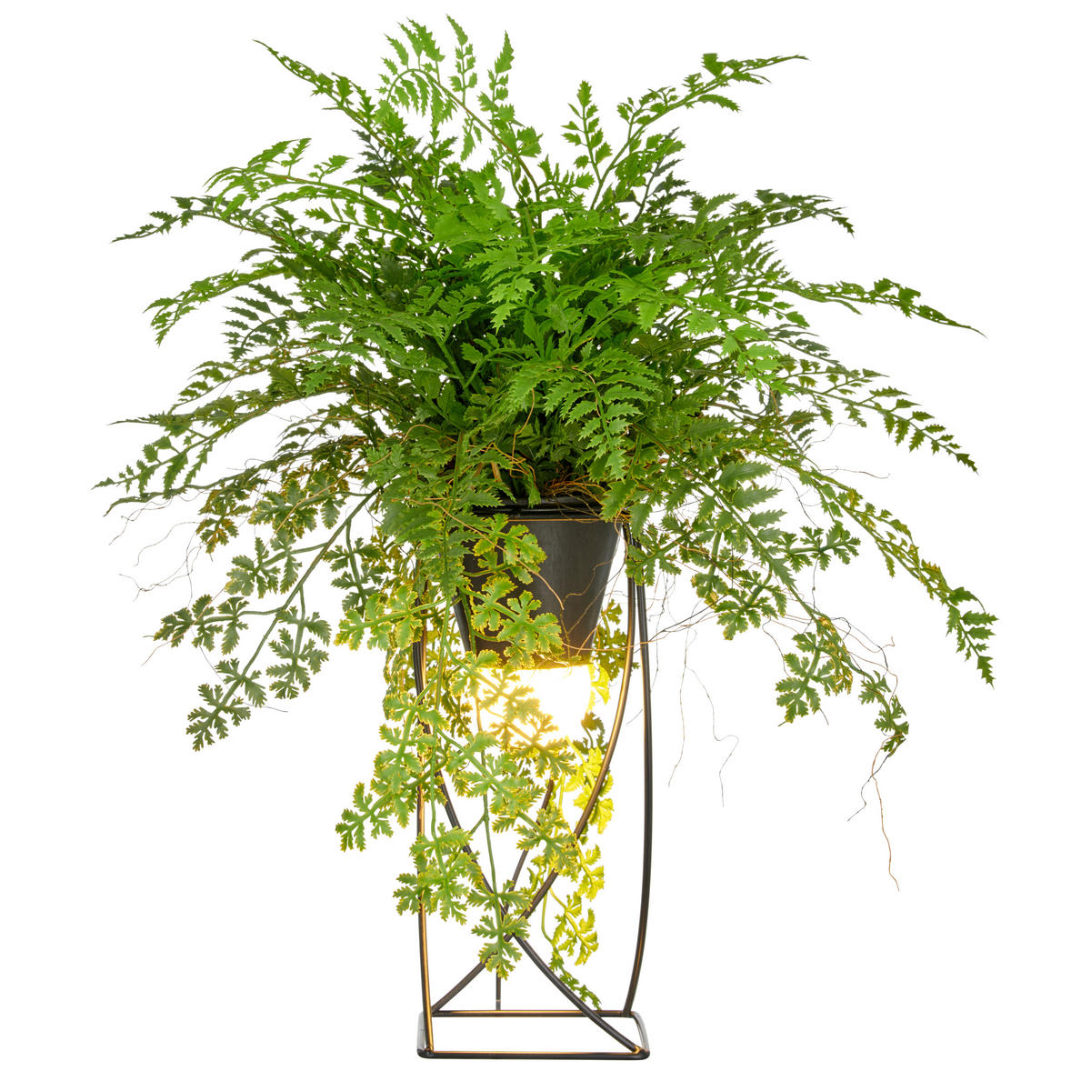 KUNSTPFLANZE Farn 60 cm  - Schwarz/Grün, Basics, Kunststoff/Metall (60cm) - P & B