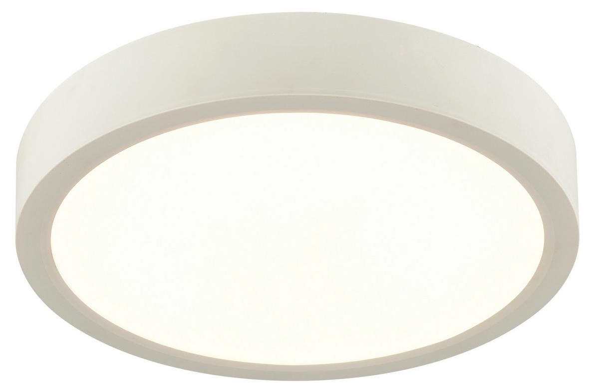 STROPNÉ LED SVIETIDLO, 22,5/3,6 cm  - biela, Konventionell, plast (22,5/3,6cm) - Boxxx