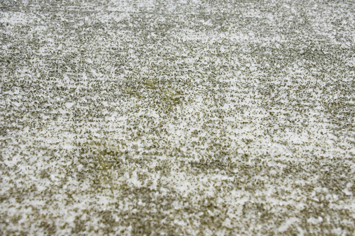 WEBTEPPICH 80/150 cm Silberfarben, Olivgrün  - Silberfarben/Olivgrün, Basics, Textil (80/150cm) - Novel