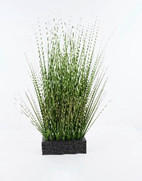 MŰNÖVÉNY - fekete/zöld, Basics, műanyag