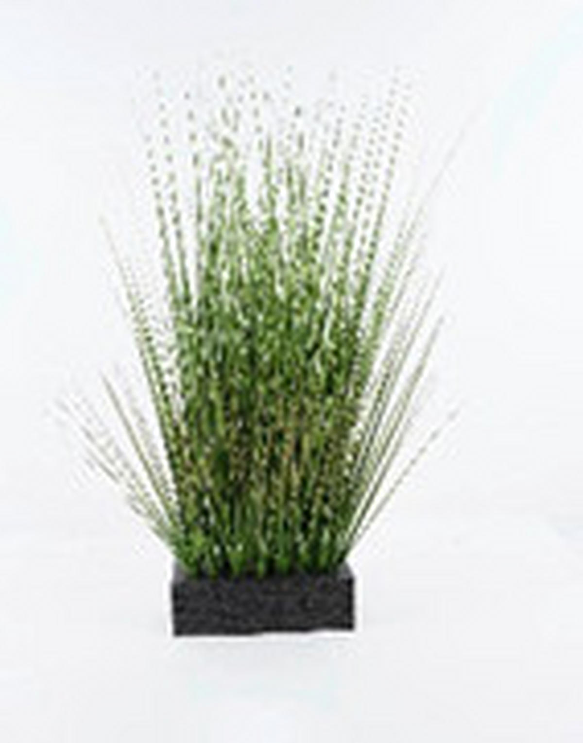 MŰNÖVÉNY - fekete/zöld, Basics, műanyag