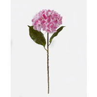 MŰNÖVÉNY - pink/barna, Basics, műanyag