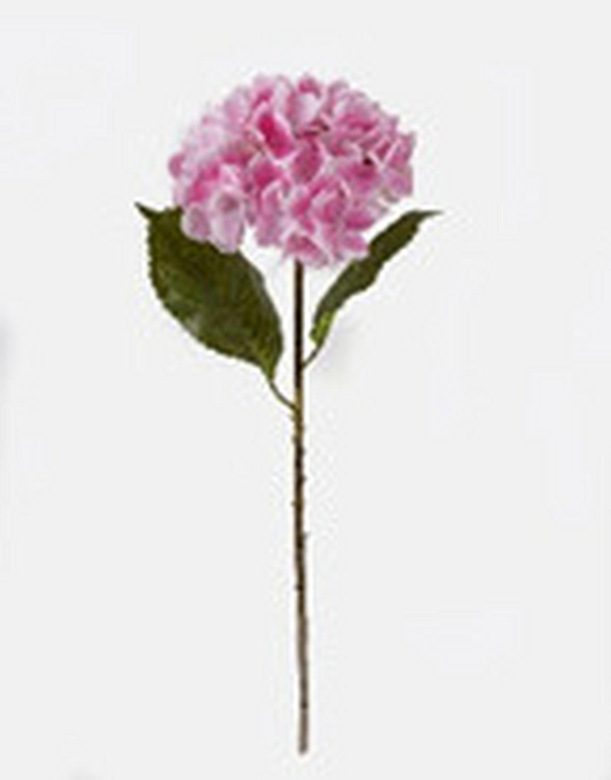 MŰNÖVÉNY - pink/barna, Basics, műanyag