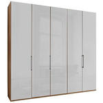 FALTTÜRENSCHRANK 250/236/58 cm 5-türig Weiß, Eiche Bianco  - Schieferfarben/Eiche Bianco, KONVENTIONELL, Glas/Holzwerkstoff (250/236/58cm) - Dieter Knoll