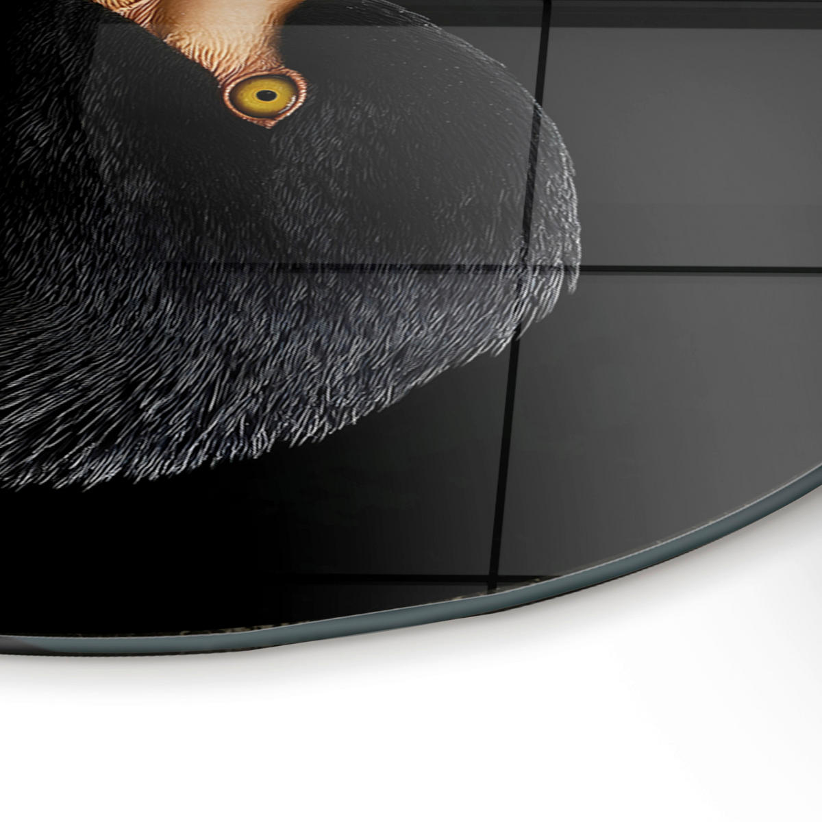 GLASBILD Tiere 70/100 cm  - Goldfarben/Schwarz, Basics, Glas/Papier (70/100cm)