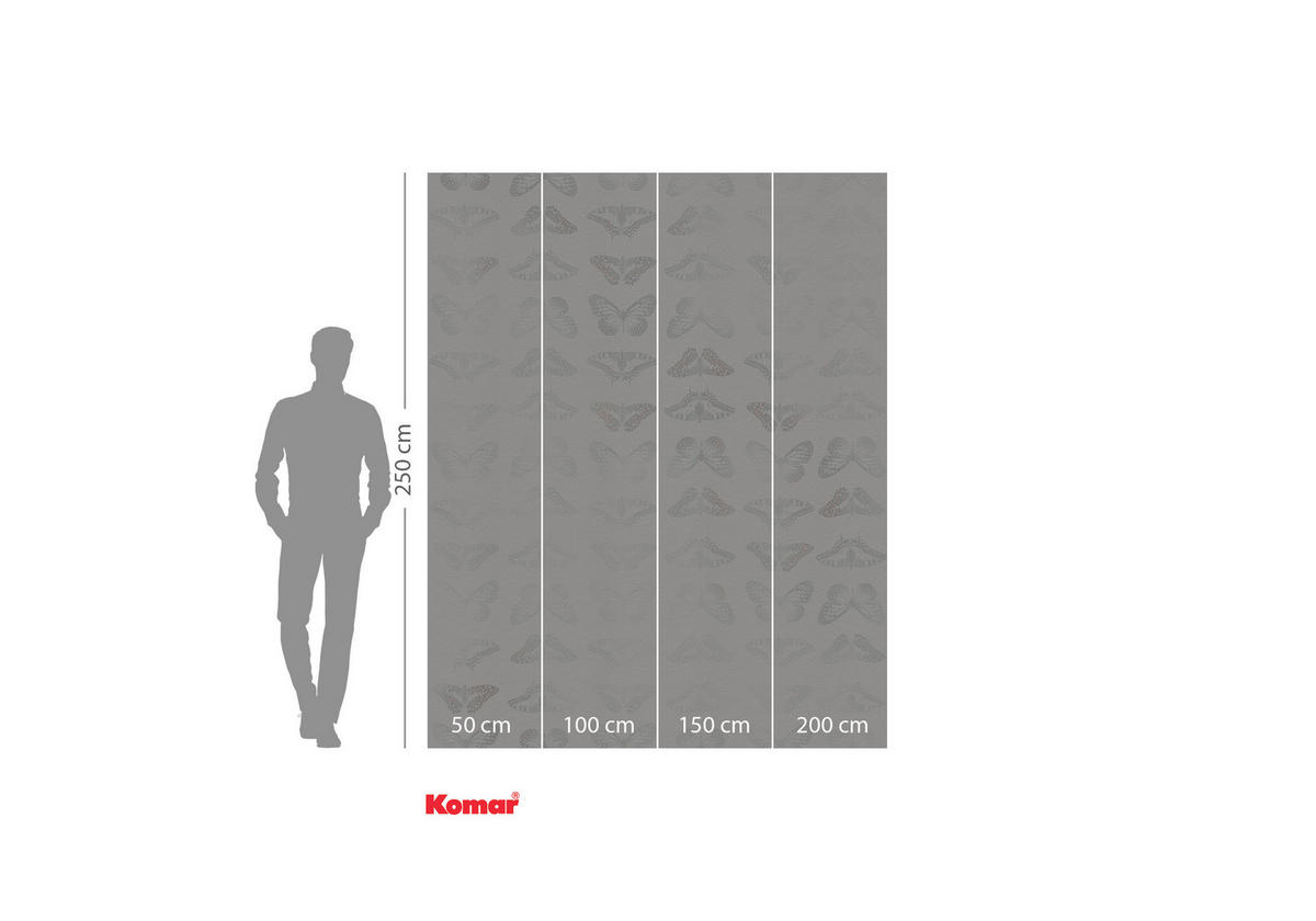 VLIESTAPETE  - Weiß, Basics (200/250cm) - Xora