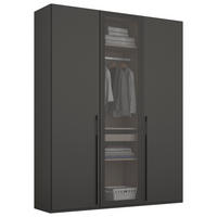 DREHTÜRENSCHRANK 151/223/60 cm,  in Graphitfarben, 3 Tür(en)  - Graphitfarben, Trend, Glas/Holzwerkstoff (151/223/60cm) - Novel