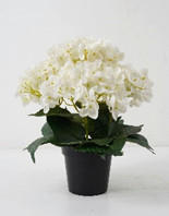 MŰNÖVÉNY - fekete/fehér, Basics, műanyag