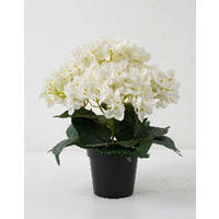 MŰNÖVÉNY - fekete/fehér, Basics, műanyag