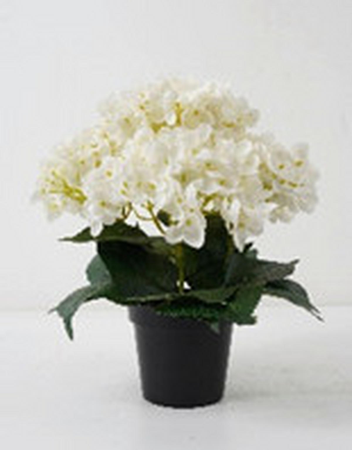 MŰNÖVÉNY - fekete/fehér, Basics, műanyag