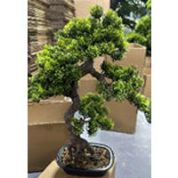 MŰNÖVÉNY - fekete/zöld, Basics, műanyag